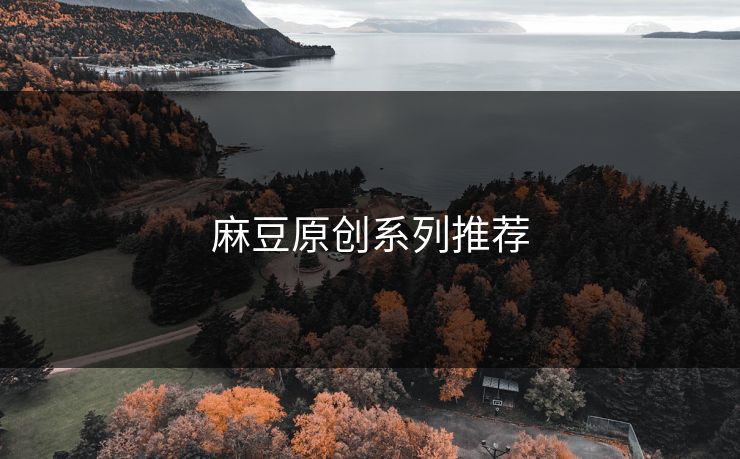 麻豆原创系列推荐