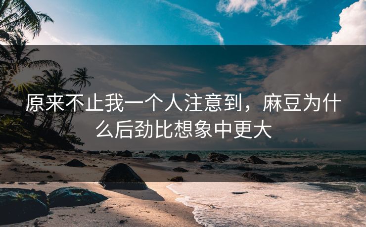 原来不止我一个人注意到，麻豆为什么后劲比想象中更大