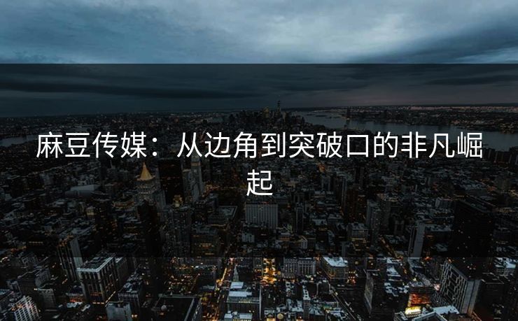 麻豆传媒：从边角到突破口的非凡崛起
