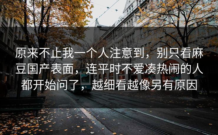 原来不止我一个人注意到，别只看麻豆国产表面，连平时不爱凑热闹的人都开始问了，越细看越像另有原因