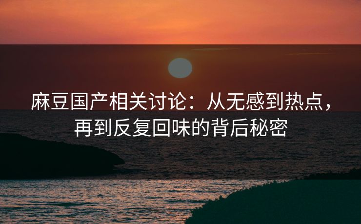 麻豆国产相关讨论：从无感到热点，再到反复回味的背后秘密