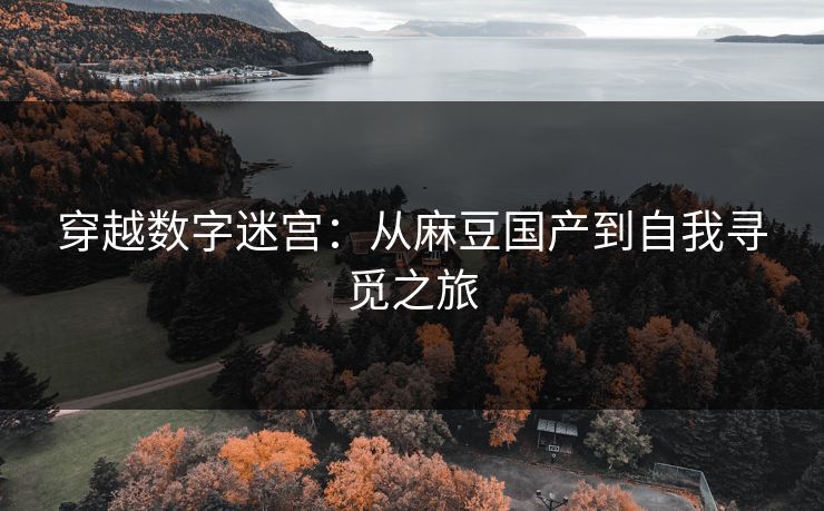 穿越数字迷宫：从麻豆国产到自我寻觅之旅
